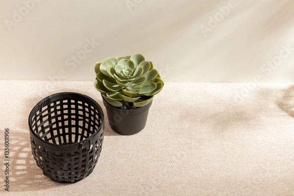 Obraz Group of Container isolated on studio background. Minimalist. Product design. Simplicity. Object. Modern. Home decoration. Houseplant. Plant pot. Space for text.Light and Shadow. Simple black vase.