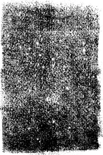 Fototapeta Rolled ink letterpress print texture. Halftone Line. High definition, rough, eroded lino print texture. A4 Page Scan. Compound path and optimised.