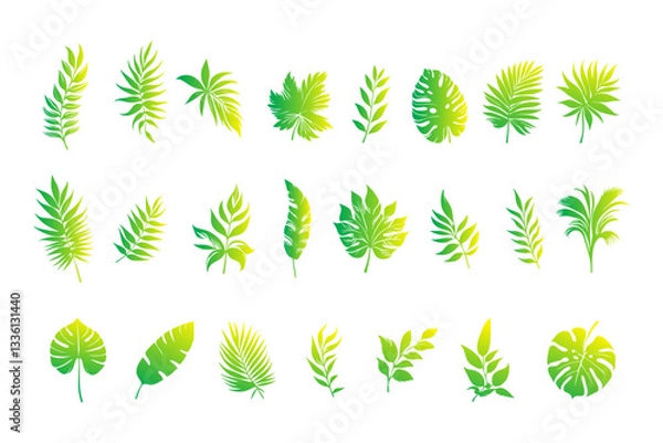 Fototapeta Leaf icon set on white background, green color. design illustration