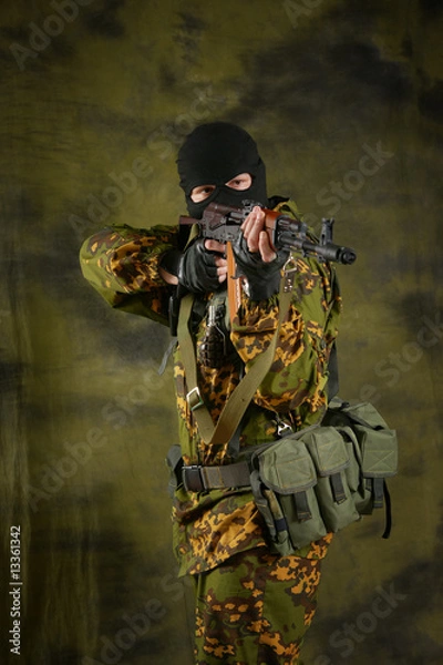 Fototapeta The soldier