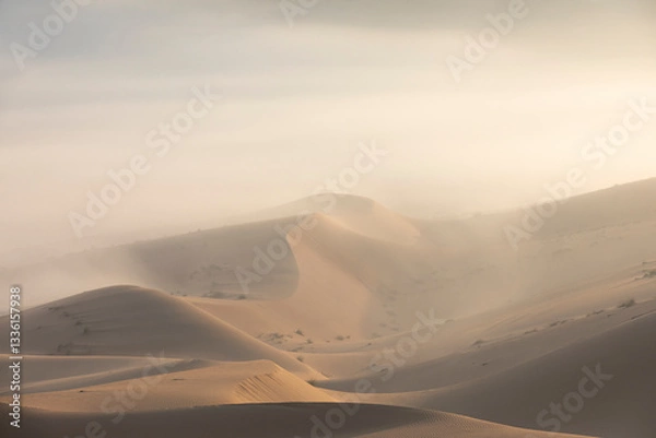 Obraz Sand dunes of Liwa desert in fog during sunrise hours.