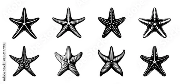 Fototapeta starfish silhouette set, isolated background