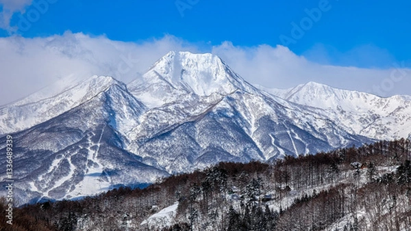Fototapeta Panorama snow covered forest and jagged mountains with blue sky