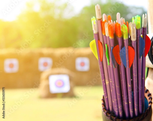 Obraz Arrows and target archery at the sunrise.