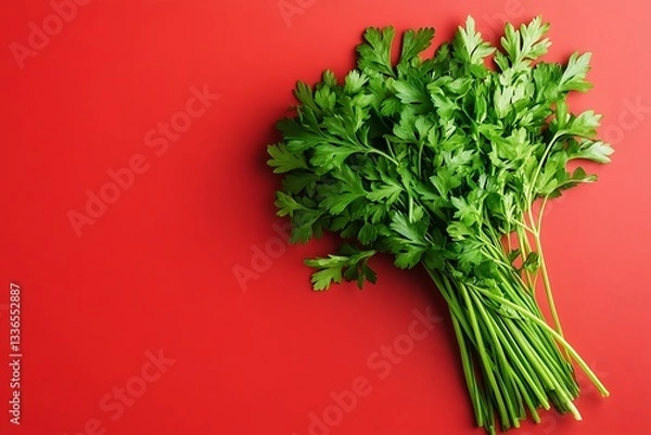 Obraz parsley alone on deep red backdrop overhead shot
