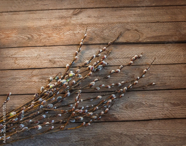 Fototapeta Willow branches with catkins  on a wooden table.