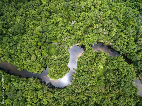 Fototapeta Widok z góry na las deszczowy Amazonii, Brazylia