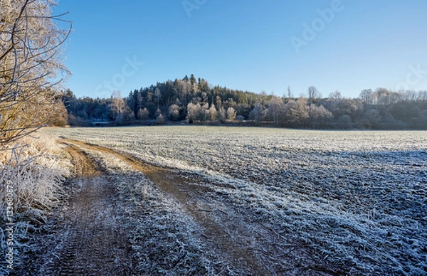 Fototapeta Winter frozen countryside dirt road with frozen field trees and grass
