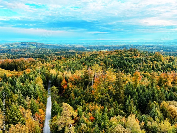 Fototapeta Scenic view of colorful autumn forest against sky with a street going into the forest in Germany