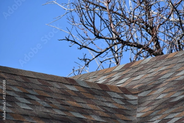 Obraz Beautifully shingled rooftop. Three tab asphalt, multi colored.