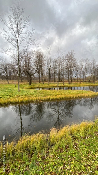 Fototapeta A pond and tree crowns without foliage in an autumn landscape, small islands, reflections of tree branches in water, green grass and yellow leaves on the ground.