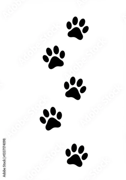 Fototapeta Isolated animal paw prints in black color going vertically down
