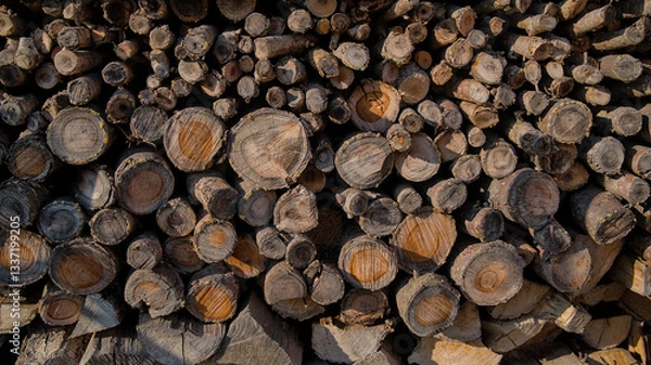 Obraz Drewno na opał