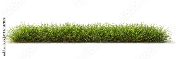 Fototapeta Meadow grass row prairie cutout transparent background 3d rendering png file 
