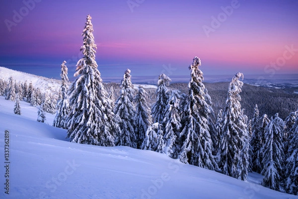 Fototapeta Snow-covered trees at sunset on mountain slope