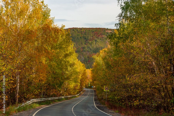 Obraz Golden Autumn in the Samarskaya Luka National Park, near the village of Shiryaevo!