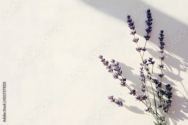 Fototapeta Tropical bright background with exotic painted lavender creating shadow. Minimal fashion summer concept. Flat lay.