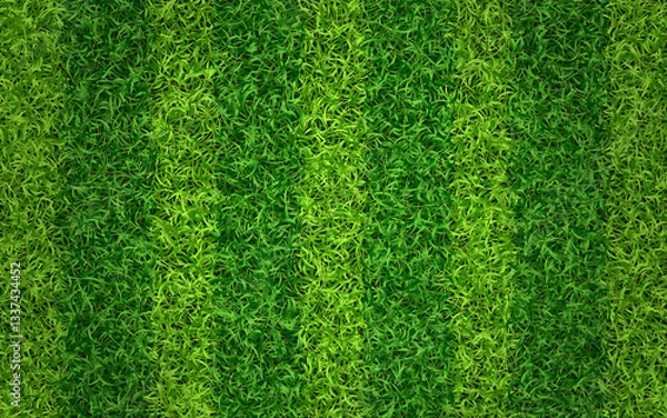 Fototapeta Grass texture. Green sport field concept. Striped lawn for soccer or football. Fresh eco background. Grass carpet with stripes top view. Vector illustration.