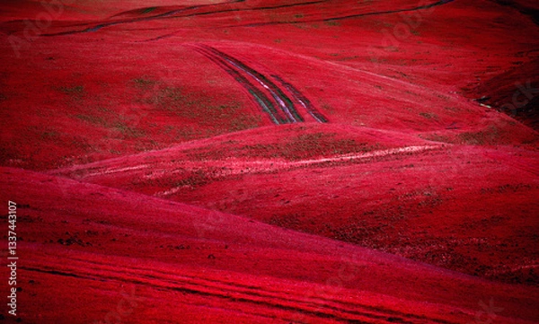 Fototapeta Surreal red landscape with hills and meadow
