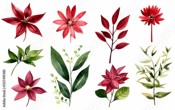 Obraz Various red and green botanical elements arranged artistically on a white background showcasing the beauty of plant life and floral designs