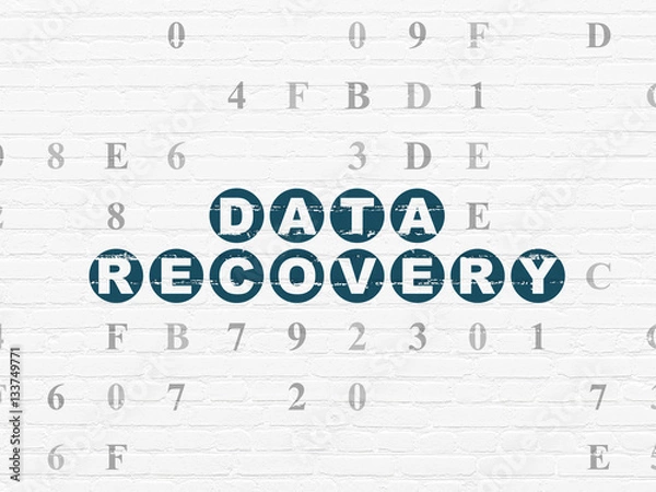 Fototapeta Information concept: Data Recovery on wall background