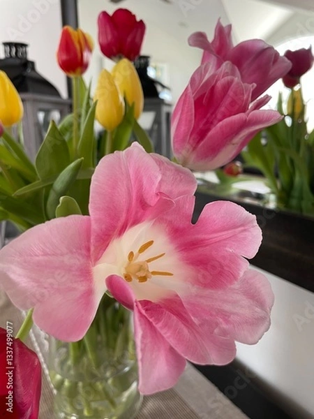Obraz Spring tulips in a vase close up