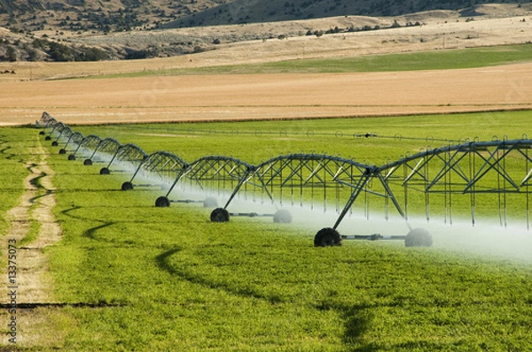 Obraz irrigation system