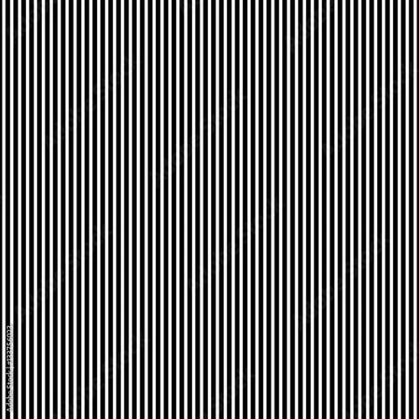 Obraz Black and white simple stripes abstract seamless vector pattern, geometric primitive background