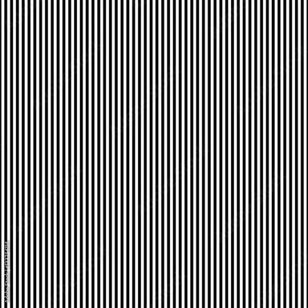 Obraz Black and white simple stripes abstract seamless vector pattern, geometric primitive background