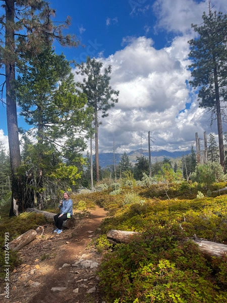 Obraz Enjoying Nature