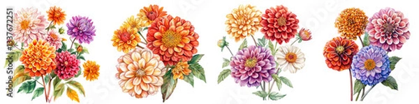 Fototapeta Autumn Flower, Dahlia, Chrysanthemum, Zinnia on a White Background. Watercolor Botanical Illustration