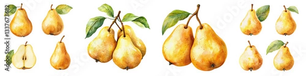 Fototapeta Sweet Pears Set Watercolor Illustration, Fruits on Isolated Background, Botanical Painting. Ripe Yellow Pear with Leaf