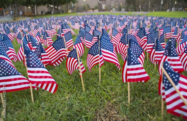 Obraz flag-memorial 1