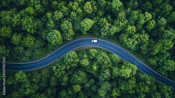 Obraz aerial road through the forest for the New Year 2026 goals and resolutions