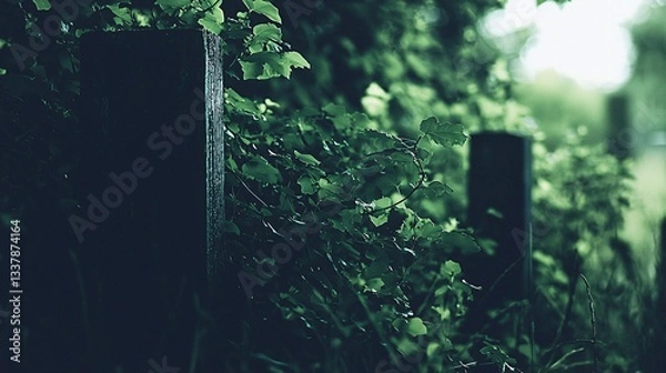 Fototapeta Lush Greenery Surrounding Wooden Posts in a Serene Natural Setting