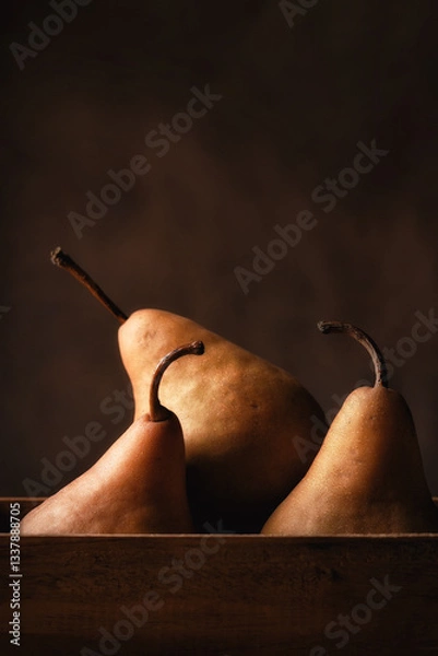 Fototapeta Fruit Still Life. Three Bosc Pears in a wooden box with  mottled brown background, vertical composition.