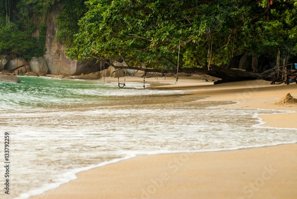 Obraz Tranquil tropical beach with jungle