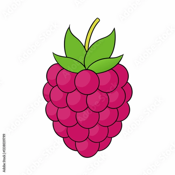 Fototapeta raspberry with leaves