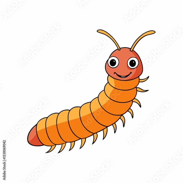 Obraz millipede on white background