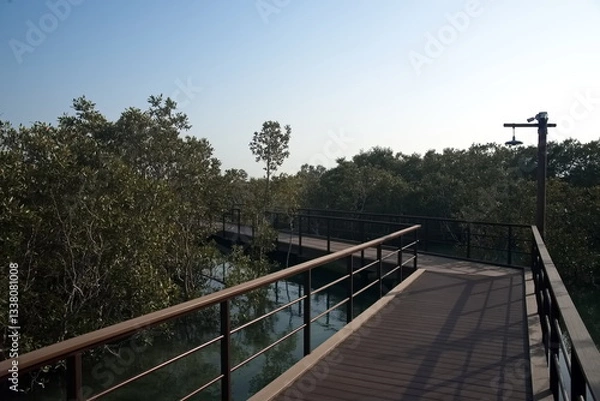 Fototapeta Abu Dhabi, United Arab Emirates – March 02, 2025, the view of the Jubail Mangrove Parks the first self-contained educational, nature and leisure destination