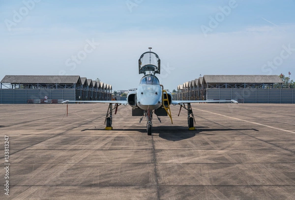 Obraz F-5E Aggressor Hornet fighter jet reflects the sunshine.
F-5 military aircraft parked in the airport and flight show.