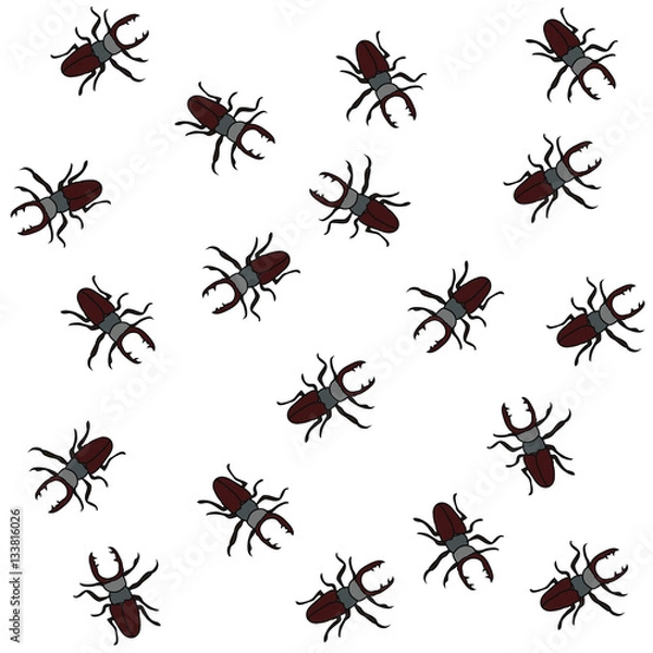 Fototapeta Beetles  set on an isolated background
