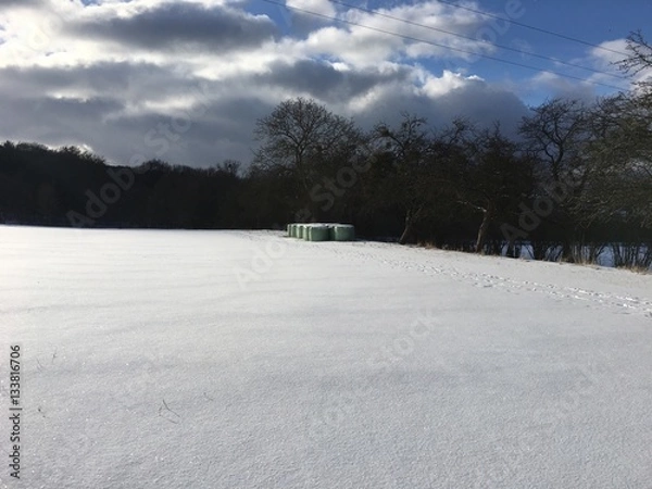 Fototapeta Winterlandschaft