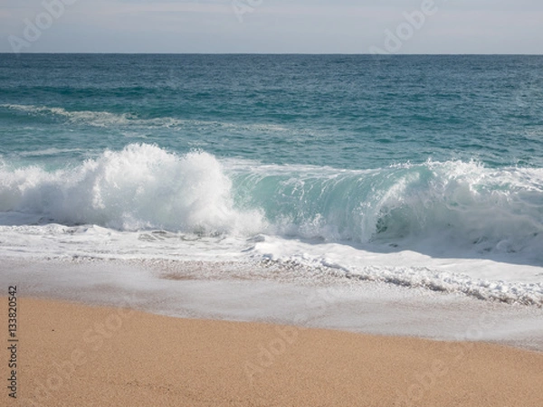 Obraz Waves on the beach