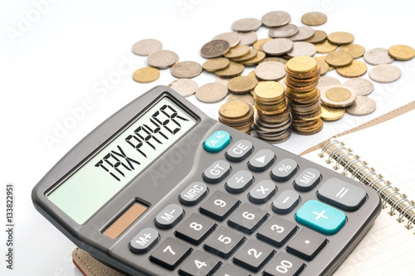 Fototapeta coins and calculator