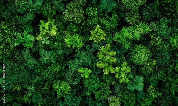 Fototapeta Lush canopy view from above. Deep shades of greens blend forming a dense, vibrant, and textured forest