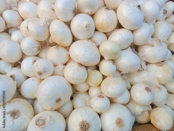 Obraz white onion group