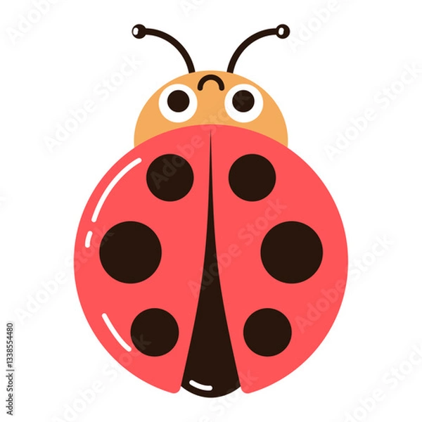 Fototapeta Vector image of a cute ladybug