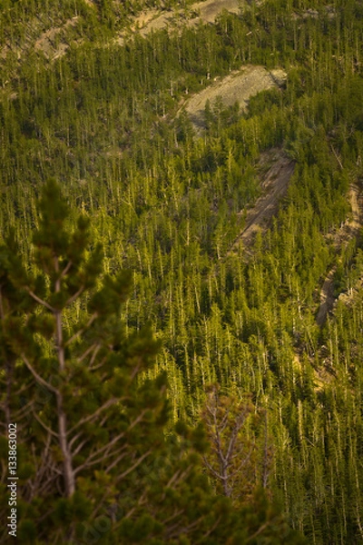 Fototapeta Mountainside