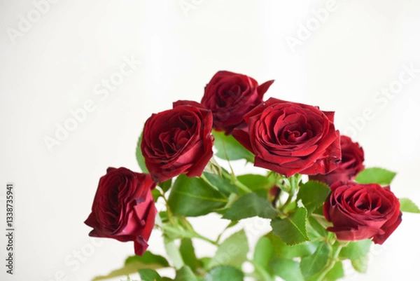 Fototapeta 赤いばら